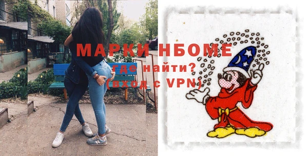 прущие грибы Ачинск