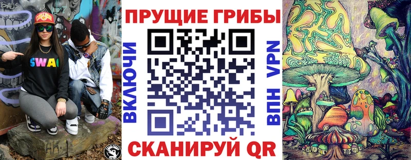 omg маркетплейс  Пушкино  Псилоцибиновые грибы Psilocybine cubensis 