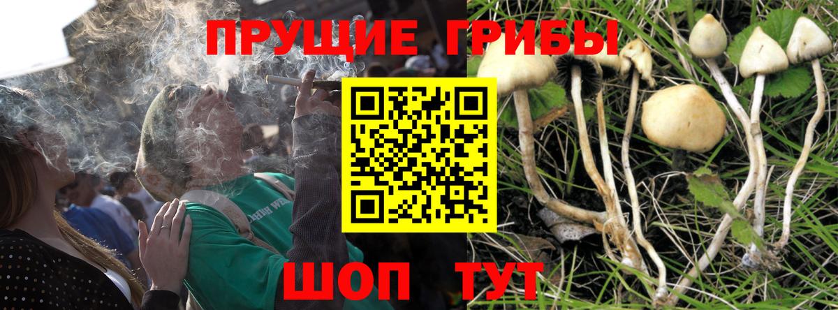 Псилоцибиновые грибы Magic Shrooms Пушкино