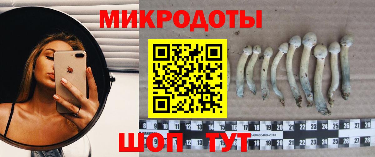 Альфа ПВП Пушкино