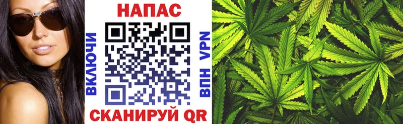 Конопля планчик Пушкино